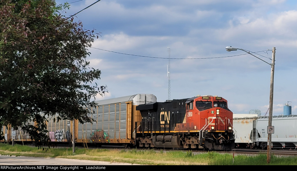 CN 2950